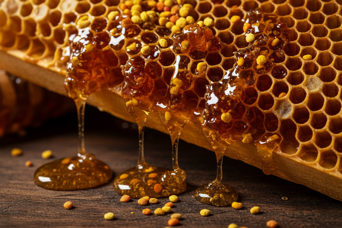 Propolis: The Immune Superfood Hidden Inside Your Honey